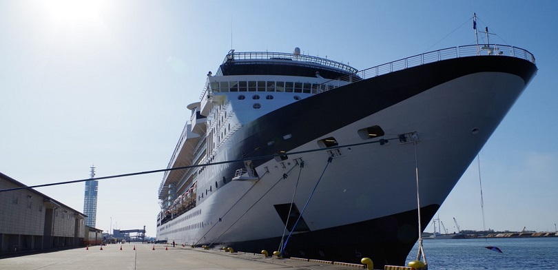 celebrity millennium